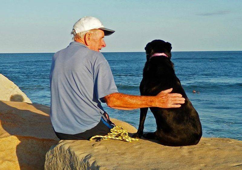 man sitting on beach with his dog