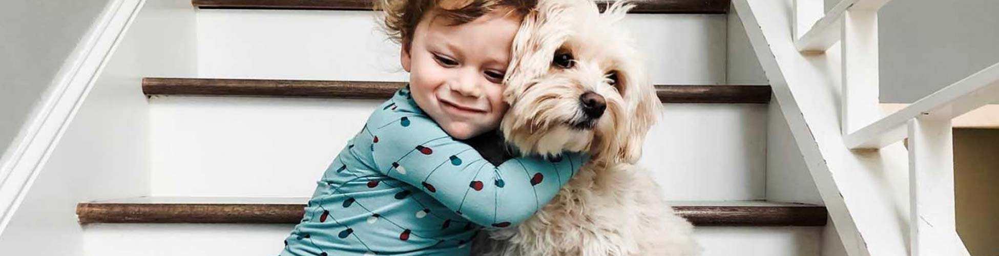 Home Care For Broken Chipped And Loose Teeth Bupa Dental